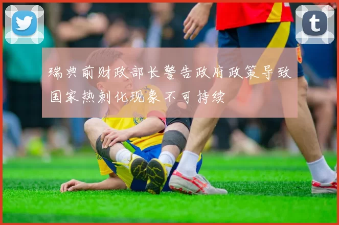 瑞典前财政部长警告政府政策导致国家热刺化现象不可持续