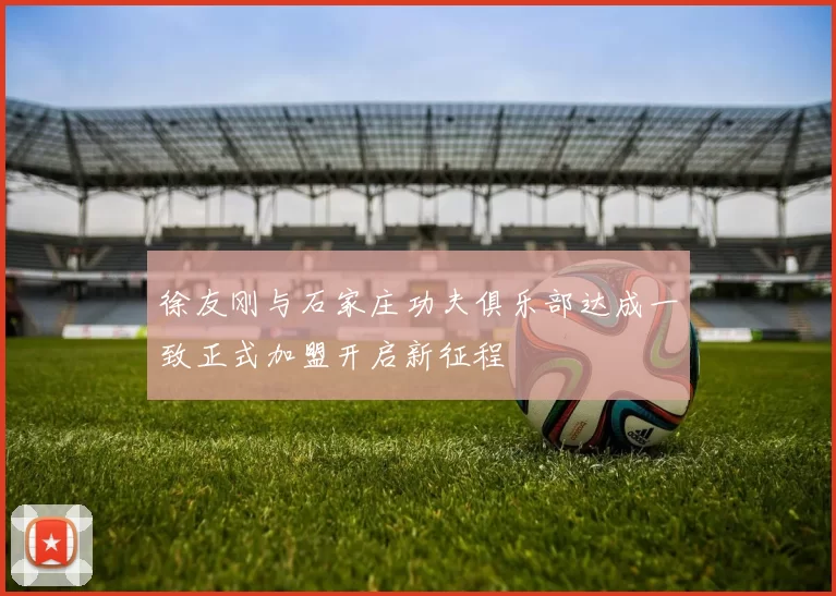 徐友刚与石家庄功夫俱乐部达成一致正式加盟开启新征程